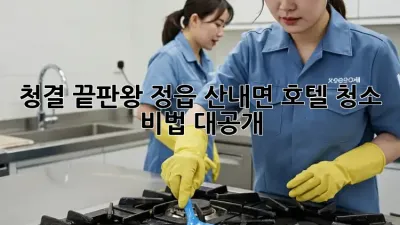청결 끝판왕👑 정읍 산내면 호텔 청소 비법 대공개! ✨