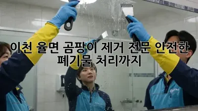 이천 율면 곰팡이 제거 전문: 안전한 폐기물 처리까지!